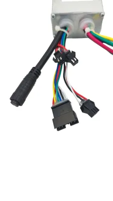 Sterownik do rowerów elektrycznych Ecobike - WZK0156