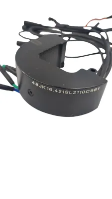 Sterownik do rowerów elektrycznych Ecobike - DAPU 48V SMART BMS