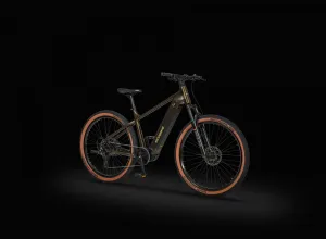 Rower elektryczny Ecobike SX 300 Green