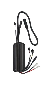 Sterownik do rowerów elektrycznych Ecobike - WZK0282