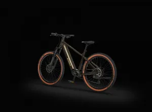 Rower elektryczny Ecobike SX 300 Green