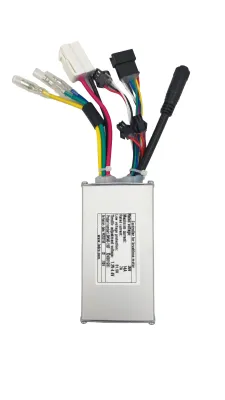 Sterownik do rowerów elektrycznych Ecobike - WZK0156