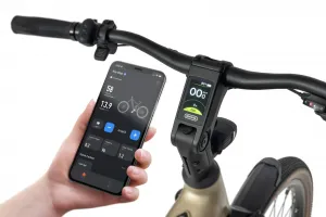 Rower elektryczny Ecobike Flex Titan