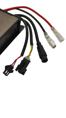 Sterownik do rowerów elektrycznych Ecobike - WZK0282