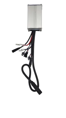 Sterownik do rowerów elektrycznych Ecobike - WZK0303