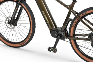 Rower elektryczny Ecobike SX 300 Green