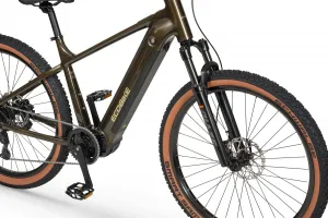 Rower elektryczny Ecobike SX 300 Green