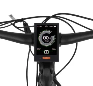 Wyświetlacz Ecobike C18 48V LCD (Seria D1 / D2)