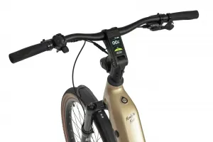 Rower elektryczny Ecobike Flex Titan