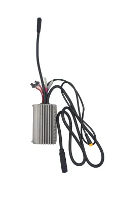 Sterownik do rowerów elektrycznych Ecobike - WZK0207