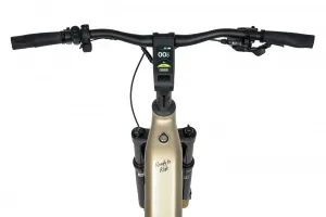 Rower elektryczny Ecobike Flex Titan