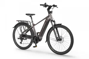Rower elektryczny Ecobike MX 300 Golden Grey