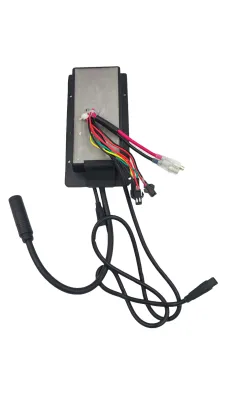 Sterownik do rowerów elektrycznych Ecobike - WZK0281