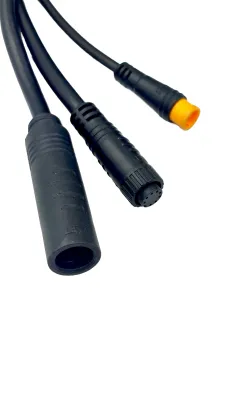 Sterownik zestawy do konwersji Ecobike - WZK0131