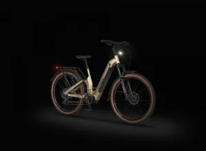 Rower elektryczny Ecobike Flex Titan