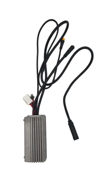 Sterownik do rowerów elektrycznych Ecobike - WZK0177