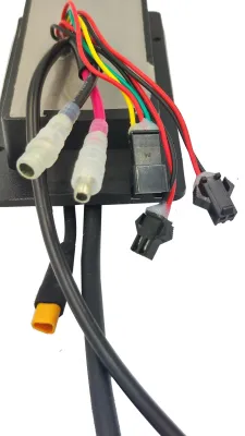 Sterownik do rowerów elektrycznych Ecobike - WZK0251