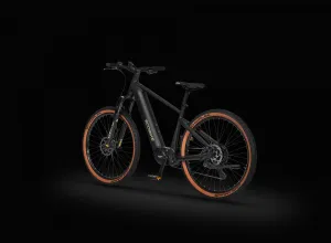 Rower elektryczny Ecobike Core Moonstone