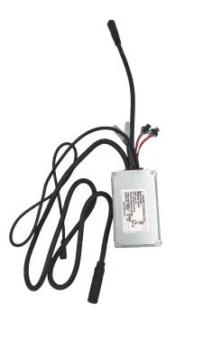 Sterownik do rowerów elektrycznych Ecobike - WZK0207