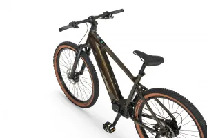 Rower elektryczny Ecobike SX 300 Green