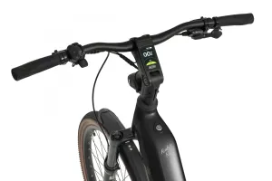 Rower elektryczny Ecobike Flex Black