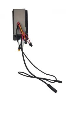 Sterownik do rowerów elektrycznych Ecobike - WZK0251