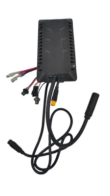 Sterownik do rowerów elektrycznych Ecobike - WZK0281