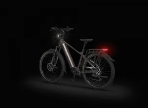 Rower elektryczny Ecobike MX 300 Golden Grey