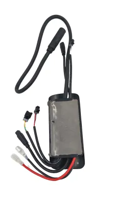 Sterownik do rowerów elektrycznych Ecobike - WZK0282