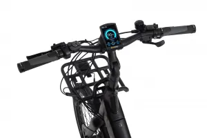 Rower elektryczny EcoBike Cargo - ekspozycyjny 