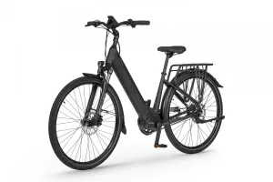Rower elektryczny Ecobike LX