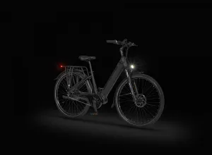 Rower elektryczny Ecobike LX