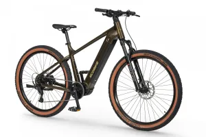 Rower elektryczny Ecobike SX 300 Green