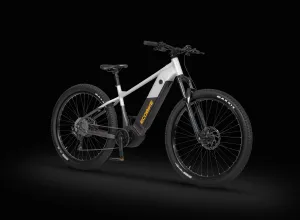 Rower elektryczny Ecobike Mauler