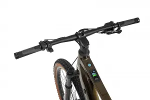 Rower elektryczny Ecobike SX 300 Green