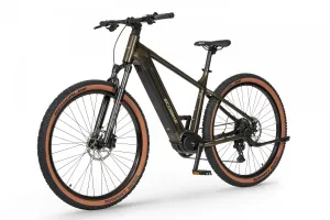 Rower elektryczny Ecobike SX 300 Green
