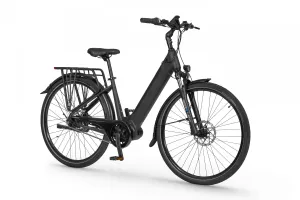 Rower elektryczny Ecobike LX