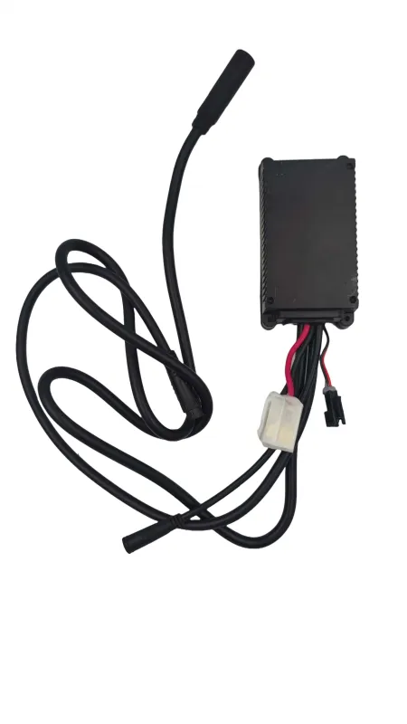 Produkt Sterownik do rowerów elektrycznych Ecobike - WZK0185 Obraz