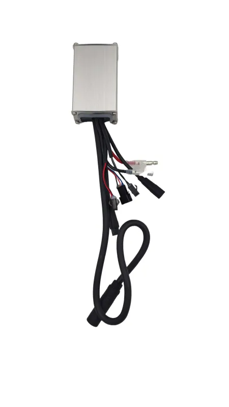Produkt Sterownik do rowerów elektrycznych Ecobike - WZK0303 Obraz